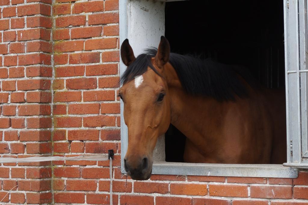 Ferienhof Seelust Gammendorf Exteriér fotografie