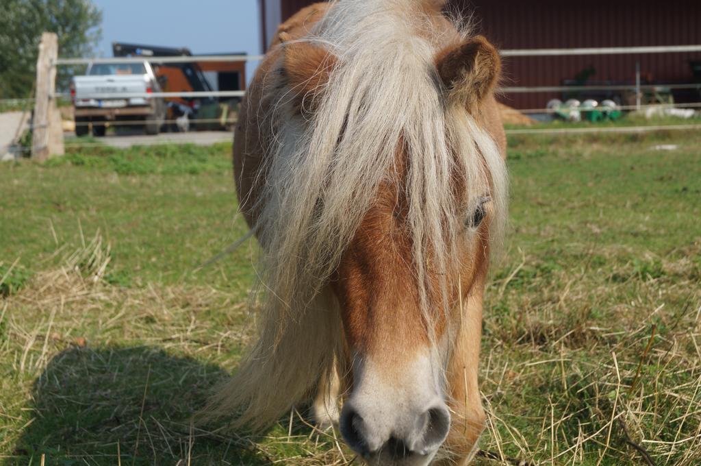 Ferienhof Seelust Gammendorf Exteriér fotografie
